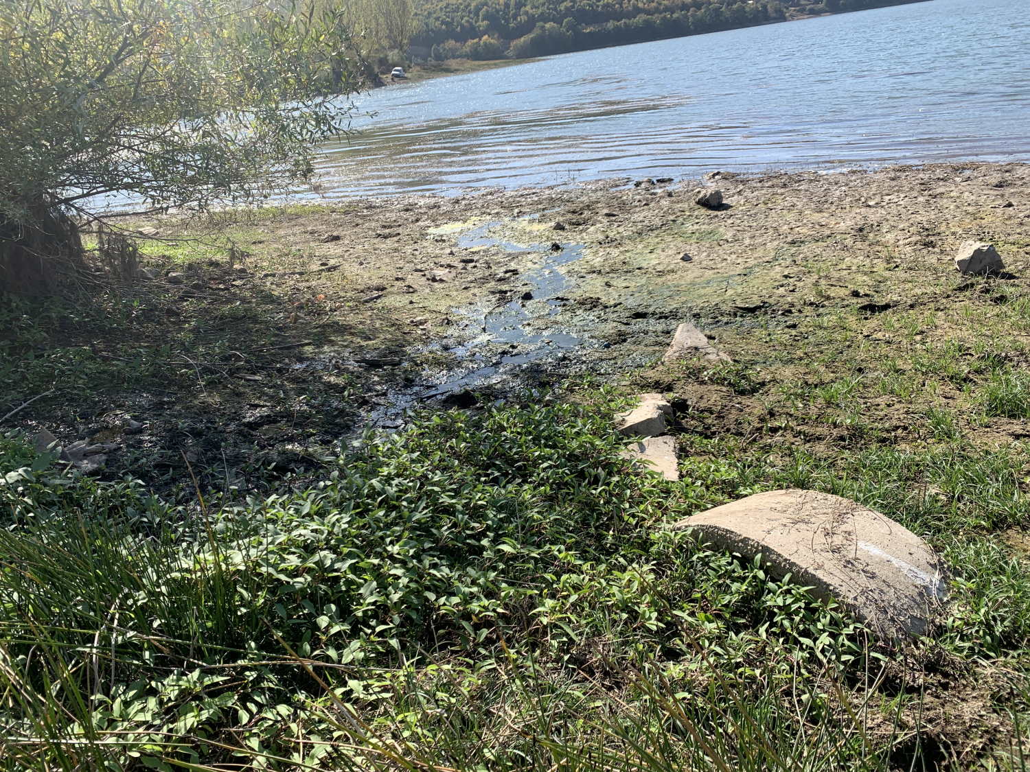 Lake Batllava at risk of pollution: Residents and NGOs call for urgent intervention